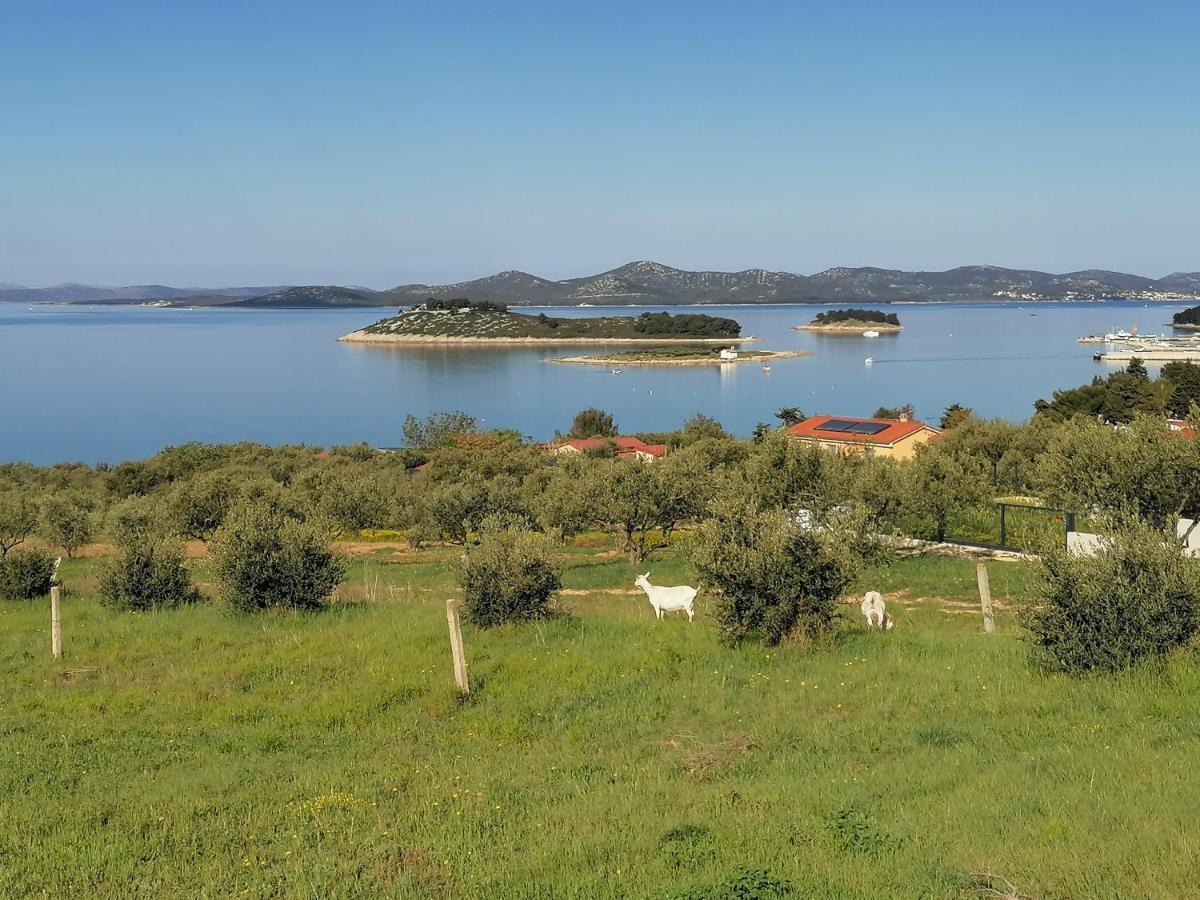 Apartman 2 Punta Пакоштане Экстерьер фото